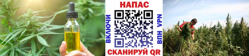 Купить закладки  Одинцово  Cannafood марихуана 