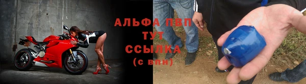 гидра Кинешма