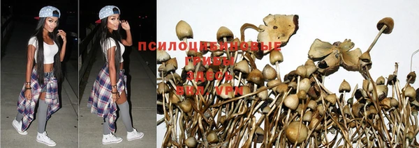 Альфа ПВП Киреевск