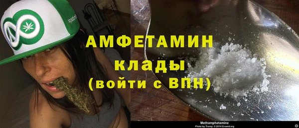 гидра Кинешма