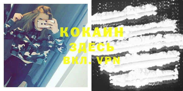 гидра Кинешма